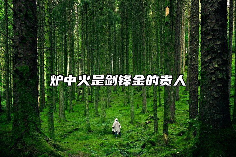 炉中火是剑锋金的贵人 