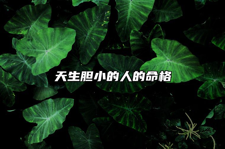 天生胆小的人的命格 天生胆小的人的命格如何