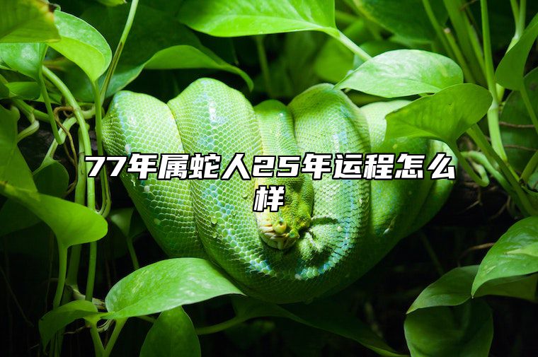 77年属蛇人25年运程怎么样 77年生肖蛇2025年运势