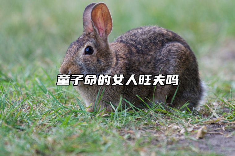 童子命的女人旺夫吗 