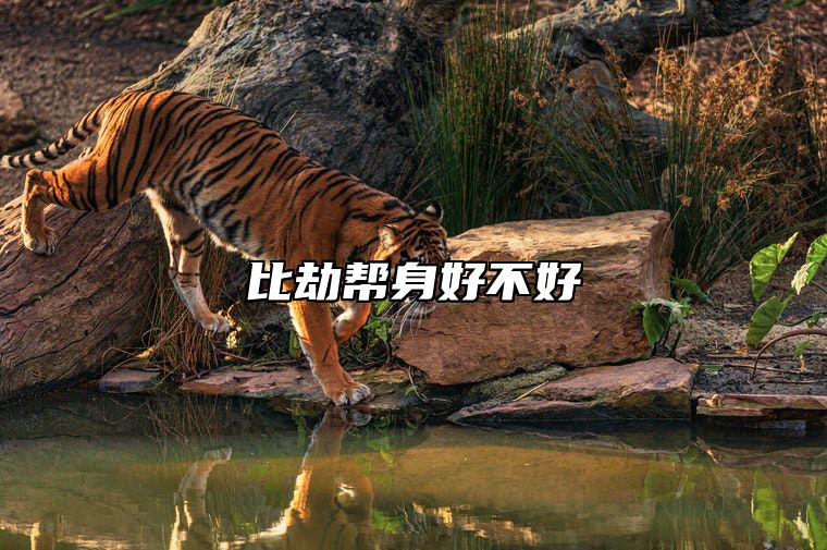 比劫帮身好不好 比劫帮身的命理特征