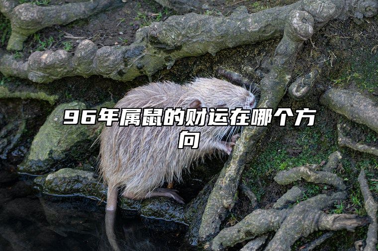 96年属鼠的财运在哪个方向 96年鼠的发财方向