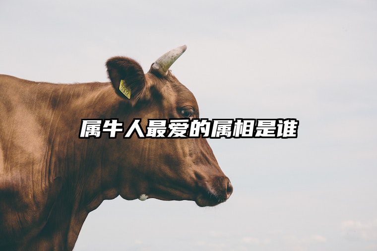 属牛人最爱的属相是谁 属牛人跟谁一起财运好