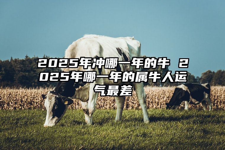 2025年冲哪一年的牛 2025年哪一年的属牛人运气最差 2025年属牛是什么命