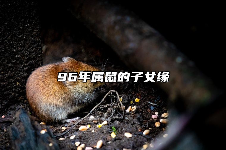 96年属鼠的子女缘 96年出生的鼠是早婚还是晚婚