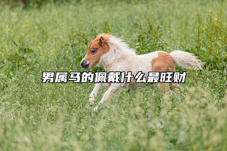 男属马的佩戴什么最旺财 男属马佩戴什么最合适