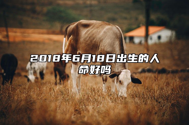 2018年6月18日出生的人命好吗 不同时辰八字运势详解