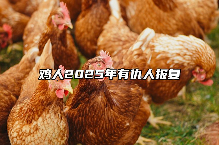鸡人2025年有仇人报复 属鸡人报复手段