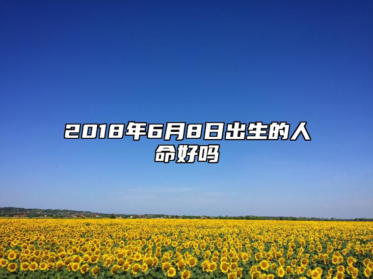 2018年6月8日出生的人命好吗 不同时辰八字分析