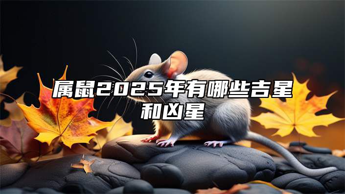 属鼠2025年有哪些吉星和凶星 属鼠人2025年的命运