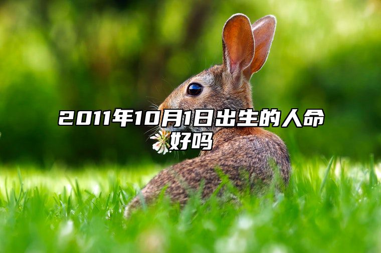2011年10月1日出生的人命好吗 今日不同时辰生辰八字解析