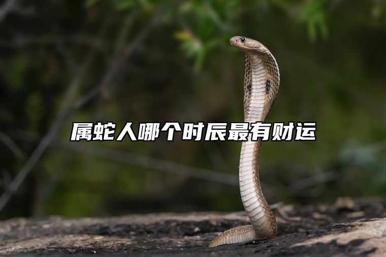属蛇人哪个时辰最有财运 属蛇什么时辰最有钱