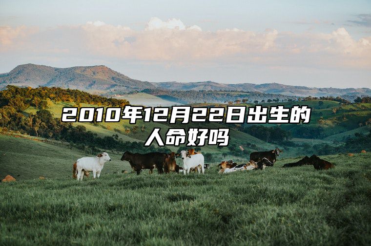 2010年12月22日出生的人命好吗 生辰八字查询