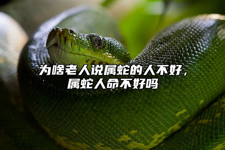 为啥老人说属蛇的人不好，属蛇人命不好吗 属蛇的人是不是命苦