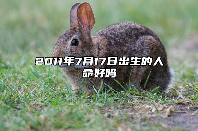 2011年7月17日出生的人命好吗 今日不同时辰生辰八字解析
