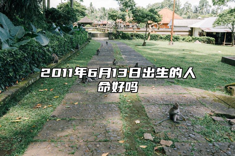 2011年6月13日出生的人命好吗 生辰八字运势查询