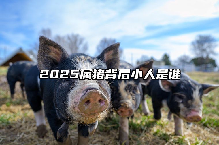 2025属猪背后小人是谁 2025年生肖猪
