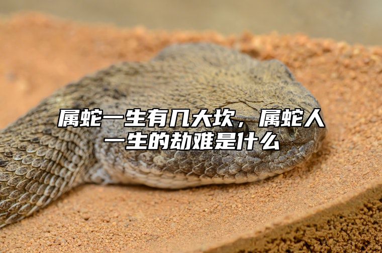 属蛇一生有几大坎，属蛇人一生的劫难是什么 属蛇人一生的三个劫难