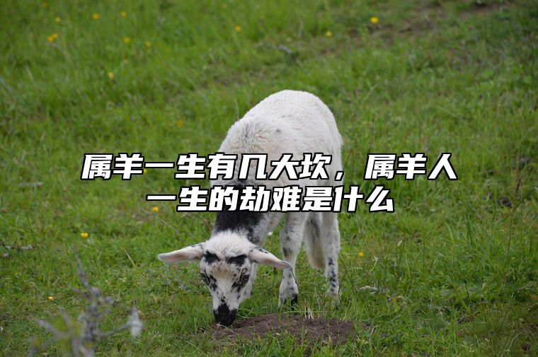 属羊一生有几大坎，属羊人一生的劫难是什么 属羊人一生的劫数年龄