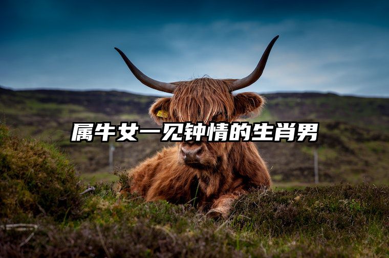 属牛女一见钟情的生肖男 属牛男一见钟情喜欢的生肖