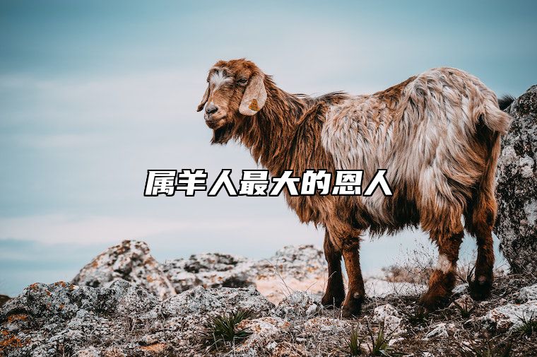 属羊人最大的恩人 属羊人最大的恩人是什么