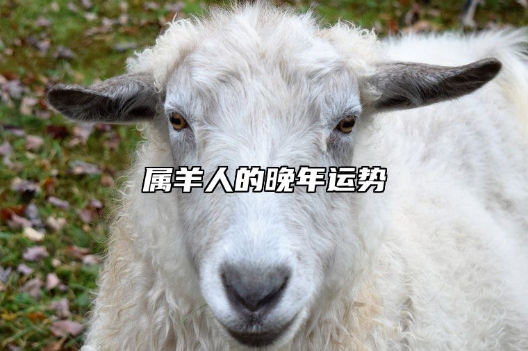 属羊人的晚年运势 属羊人的晚年运势和财运