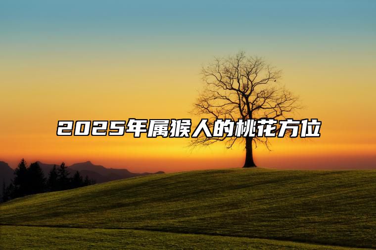 2025年属猴人的桃花方位 92年的猴33岁有一劫