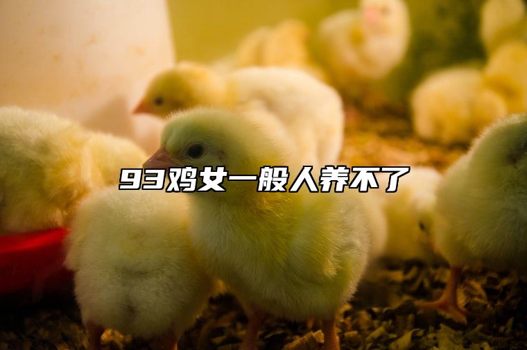 93鸡女一般人养不了 93属鸡女人最佳丈夫