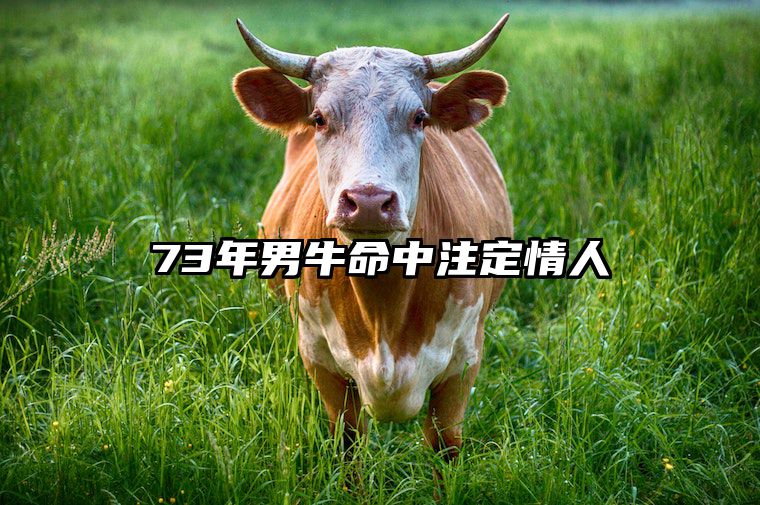 73年男牛命中注定情人 1973年男52岁会离婚