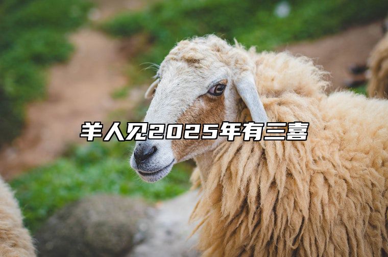 羊人见2025年有三喜 今年属羊的运势怎么样2025