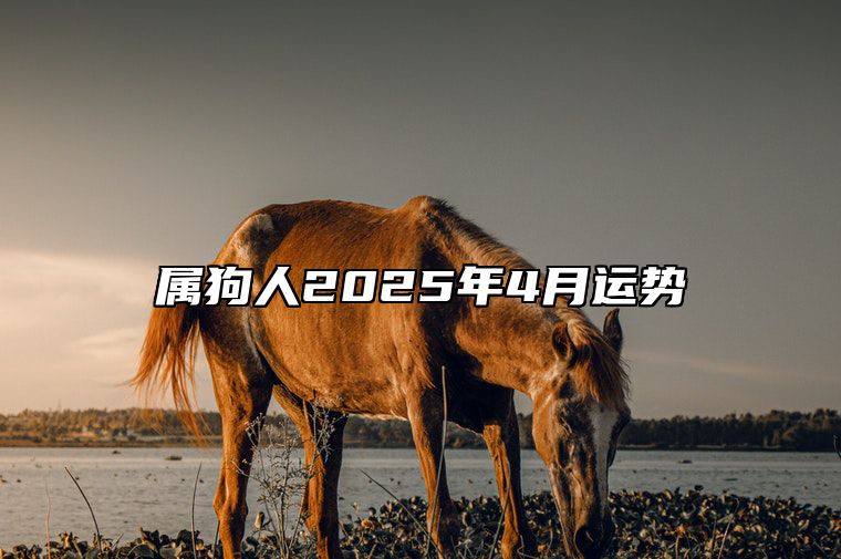 属狗人2025年4月运势 2025年狗的运势
