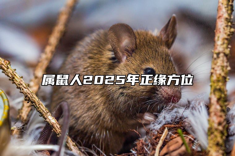属鼠人2025年正缘方位 属鼠人2025年全年运势