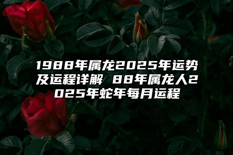 1988年属龙2025年运势及运程详解 88年属龙人2025年蛇年每月运程 88年属龙的2025年运势怎么样