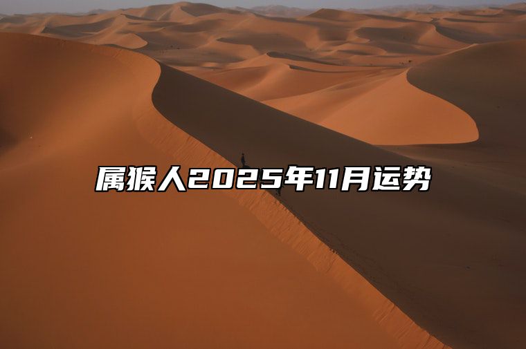 属猴人2025年11月运势 2025年生肖猴