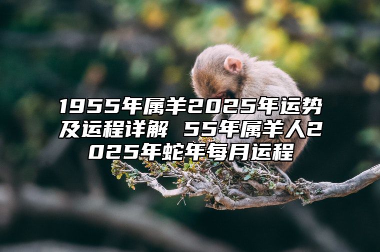 1955年属羊2025年运势及运程详解 55年属羊人2025年蛇年每月运程 1955年属羊人2020年全年运势