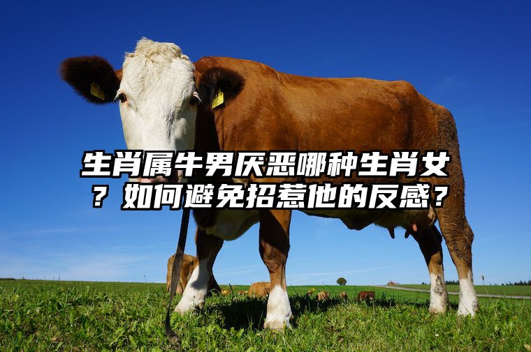 生肖属牛男厌恶哪种生肖女？如何避免招惹他的反感？ 属牛男讨厌一个人是什么样子