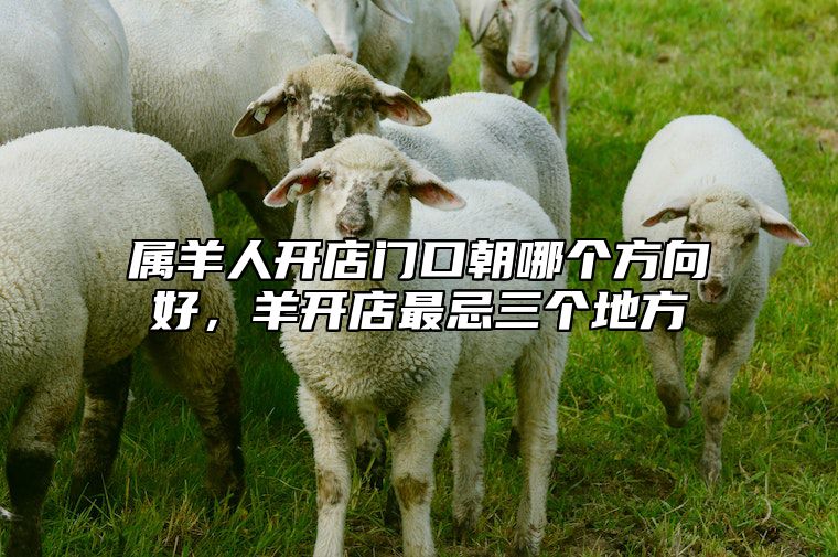 属羊人开店门口朝哪个方向好，羊开店最忌三个地方 属羊人开店门面朝向