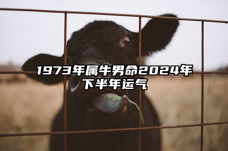 1973年属牛男命2024年下半年运气