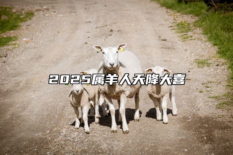 2025属羊人天降大喜 2025属羊人天降大喜什么意思