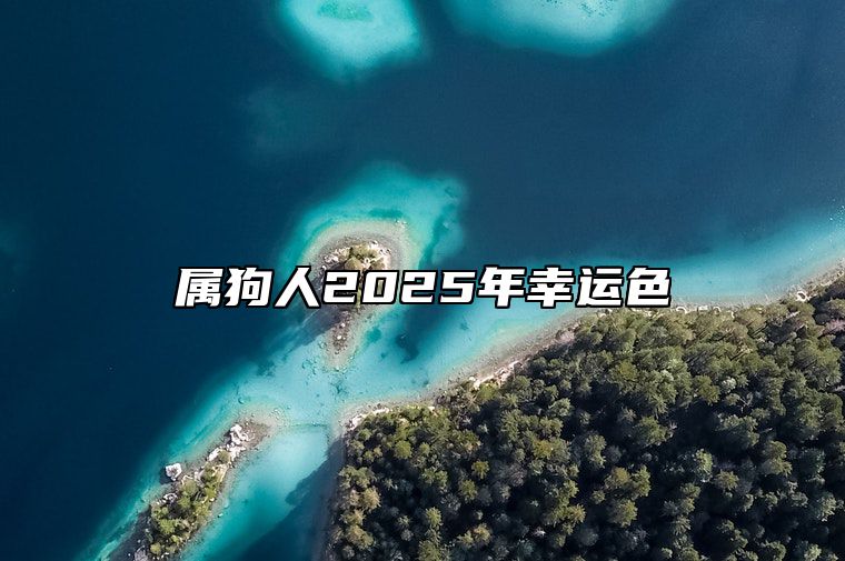 属狗人2025年幸运色 2006年属狗人2025年幸运色