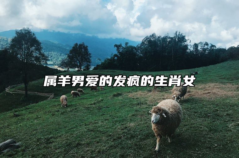 属羊男爱的发疯的生肖女 属羊男容易爱上哪个生肖女