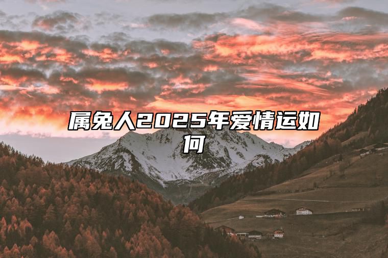 属兔人2025年爱情运如何 属兔人2025年运势及运程每月运程