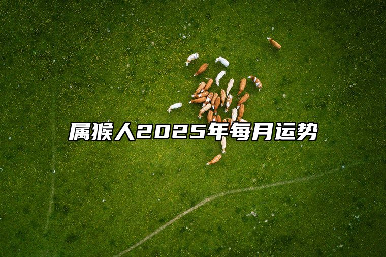 属猴人2025年每月运势 属猴人2025年每月运势卜易居