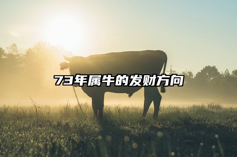 73年属牛的发财方向 73年属牛发财方向哪个方向最好吉利做什么工作好
