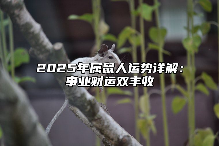 2025年属鼠人运势详解：事业财运双丰收 属鼠2025年运势及运程详解
