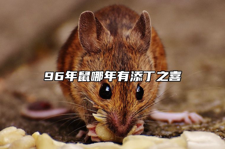 96年鼠哪年有添丁之喜 96年鼠哪年有添丁之喜的运势