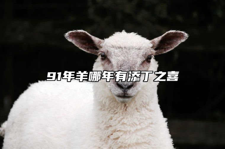 91年羊哪年有添丁之喜 91年羊人什么时候有女儿