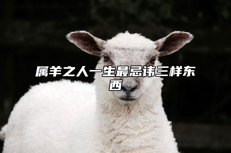 属羊之人一生最忌讳三样东西 属羊之人一生最忌讳三样东西是什么?