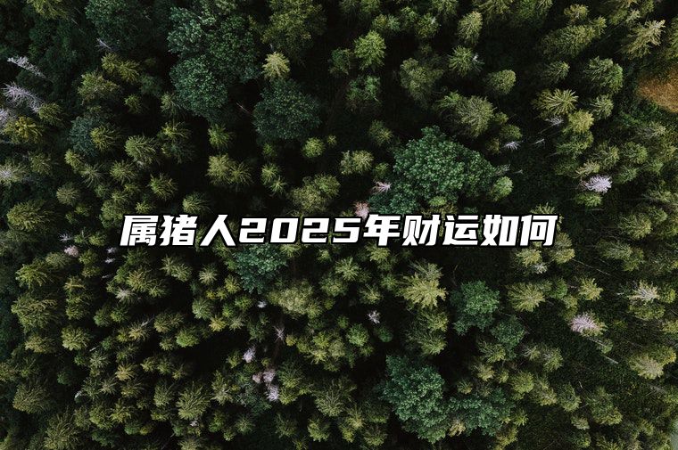 属猪人2025年财运如何 2025年猪的运势