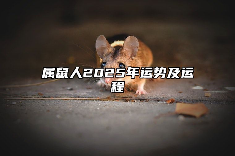 属鼠人2025年运势及运程 属鼠人2025年运势及运程每月运程